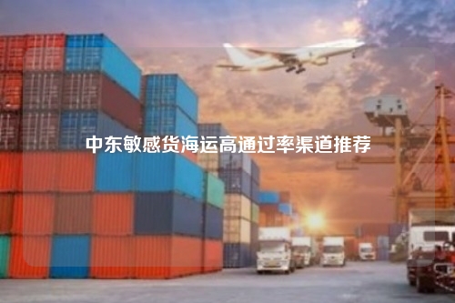 中东敏感货海运高通过率渠道推荐