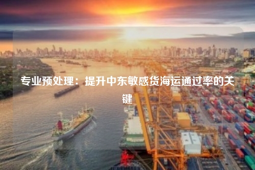 专业预处理：提升中东敏感货海运通过率的关键