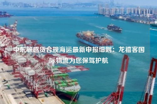 中东敏感货合规海运最新申报细则：龙禧客国际物流为您保驾护航