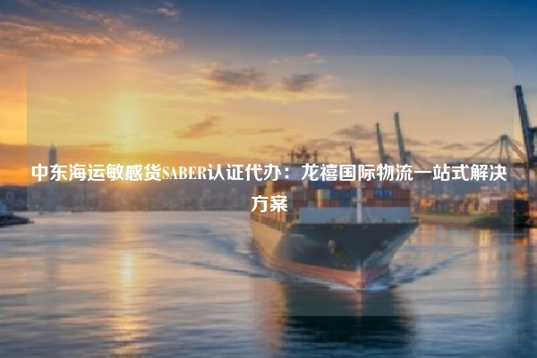 中东海运敏感货SABER认证代办：龙禧国际物流一站式解决方案