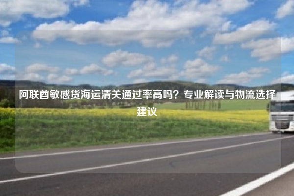 阿联酋敏感货海运清关通过率高吗？专业解读与物流选择建议