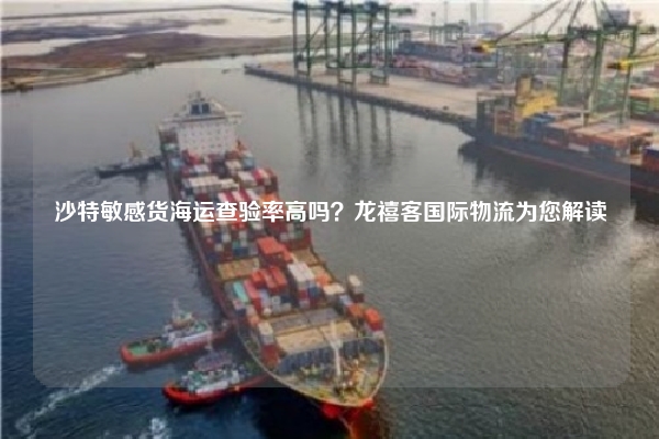 沙特敏感货海运查验率高吗？龙禧客国际物流为您解读