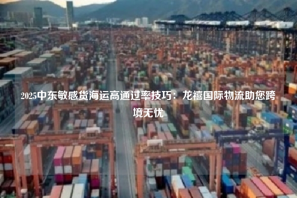 2025中东敏感货海运高通过率技巧：龙禧国际物流助您跨境无忧