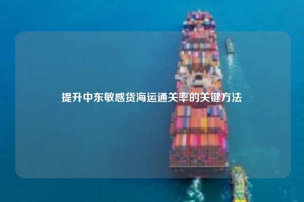 提升中东敏感货海运通关率的关键方法