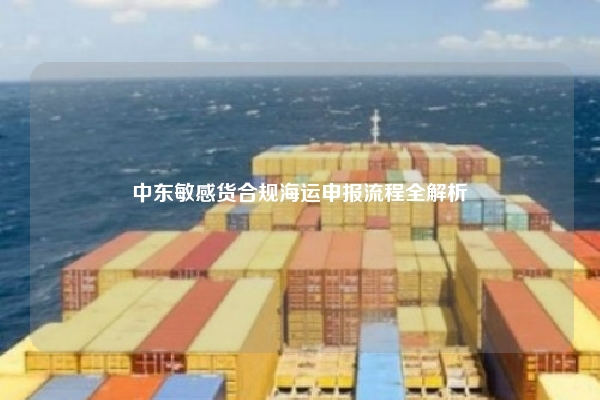 中东敏感货合规海运申报流程全解析