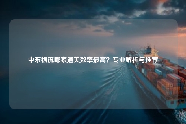 中东物流哪家通关效率最高？专业解析与推荐