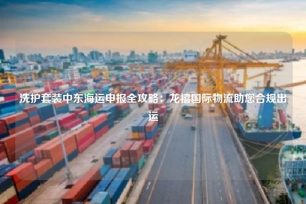 洗护套装中东海运申报全攻略：龙禧国际物流助您合规出运