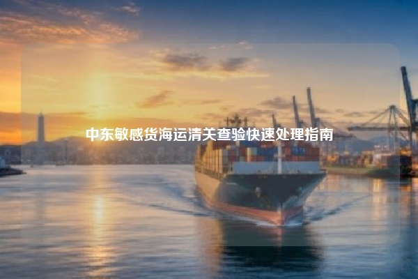 中东敏感货海运清关查验快速处理指南