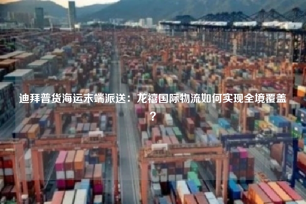 迪拜普货海运末端派送：龙禧国际物流如何实现全境覆盖？