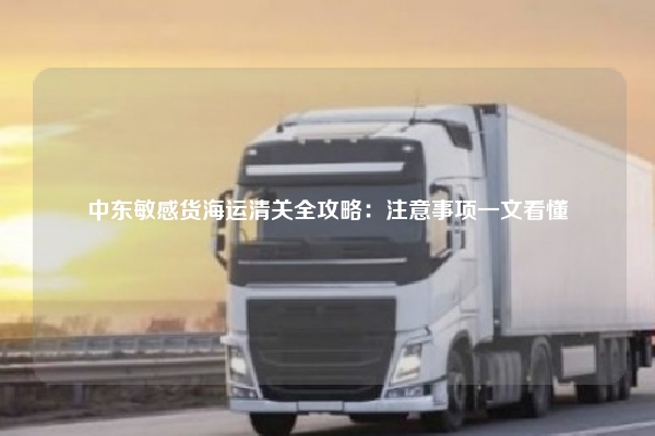 中东敏感货海运清关全攻略：注意事项一文看懂