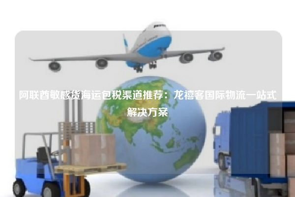 阿联酋敏感货海运包税渠道推荐：龙禧客国际物流一站式解决方案