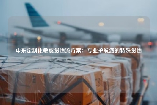 中东定制化敏感货物流方案:专业护航您的特殊货物
