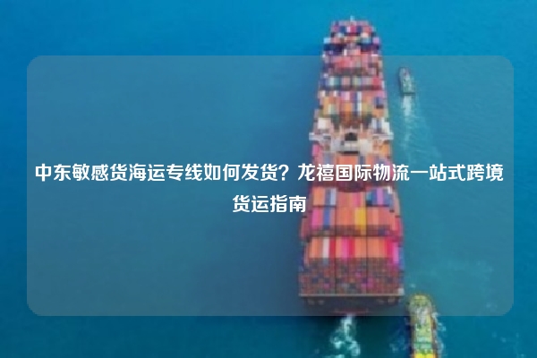 中东敏感货海运专线如何发货？龙禧国际物流一站式跨境货运指南
