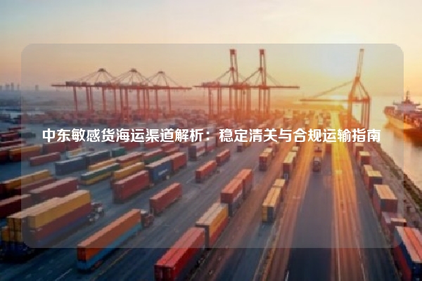 中东敏感货海运渠道解析：稳定清关与合规运输指南