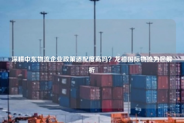 深耕中东物流企业政策适配度高吗？龙禧国际物流为您解析