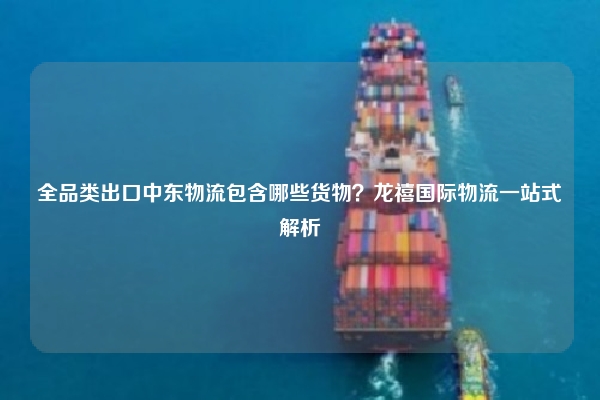 全品类出口中东物流包含哪些货物？龙禧国际物流一站式解析
