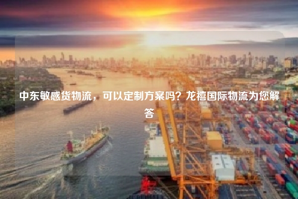 中东敏感货物流，可以定制方案吗？龙禧国际物流为您解答