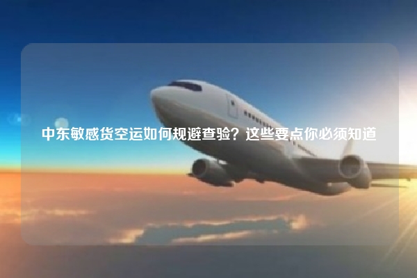 中东敏感货空运如何规避查验？这些要点你必须知道