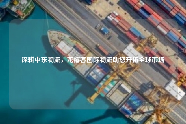 深耕中东物流，龙禧客国际物流助您开拓全球市场