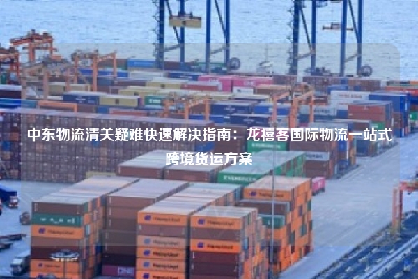 中东物流清关疑难快速解决指南：龙禧客国际物流一站式跨境货运方案