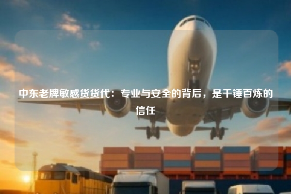 中东老牌敏感货货代：专业与安全的背后，是千锤百炼的信任