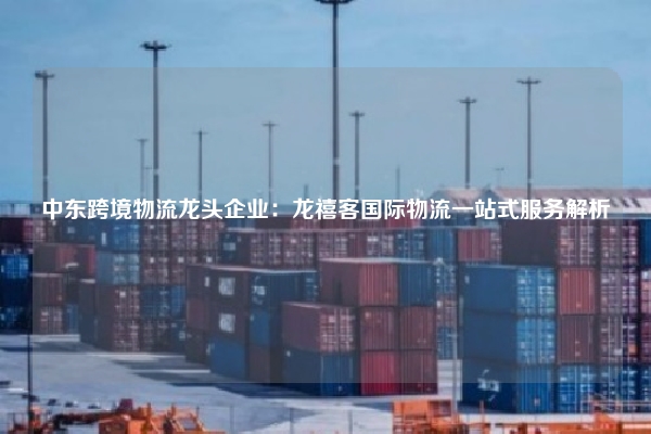 中东跨境物流龙头企业：龙禧客国际物流一站式服务解析