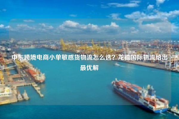 中东跨境电商小单敏感货物流怎么选？龙禧国际物流给出最优解