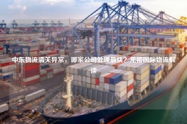 中东物流清关异常，哪家公司处理最快？龙禧国际物流解读