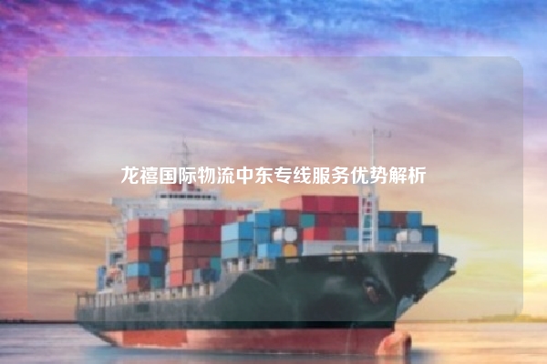 龙禧国际物流中东专线服务优势解析