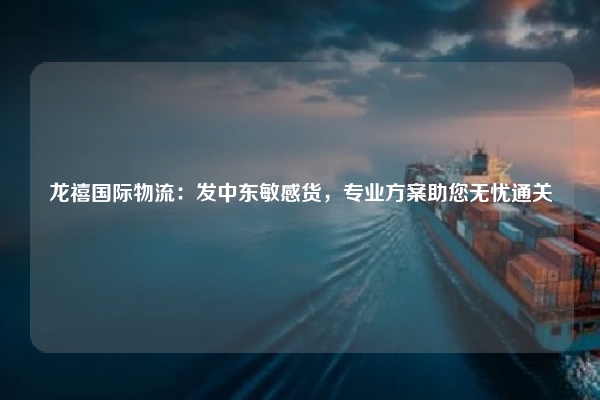 龙禧国际物流：发中东敏感货，专业方案助您无忧通关