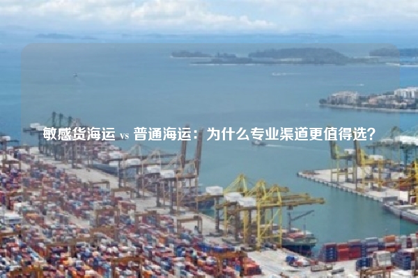 敏感货海运 vs 普通海运：为什么专业渠道更值得选？