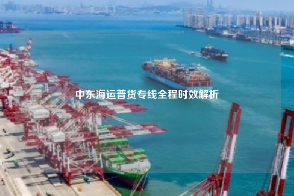 中东海运普货专线全程时效解析