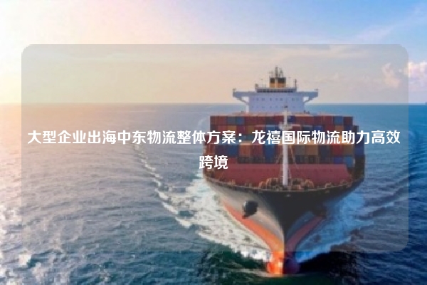 大型企业出海中东物流整体方案：龙禧国际物流助力高效跨境