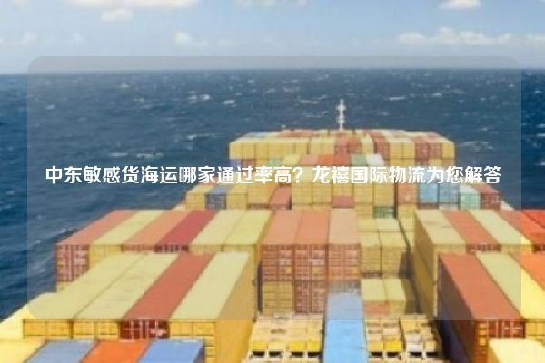 中东敏感货海运哪家通过率高？龙禧国际物流为您解答
