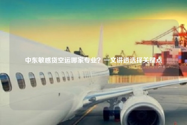 中东敏感货空运哪家专业？一文讲透选择关键点