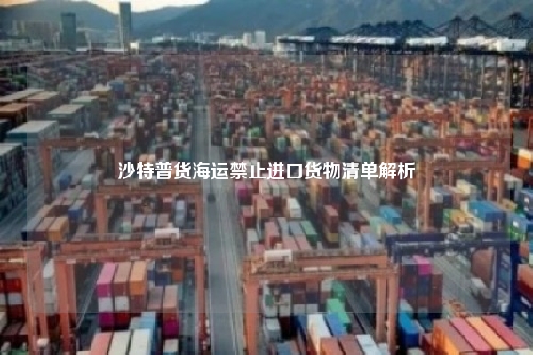 沙特普货海运禁止进口货物清单解析