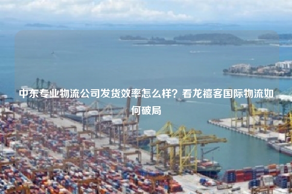 中东专业物流公司发货效率怎么样？看龙禧客国际物流如何破局